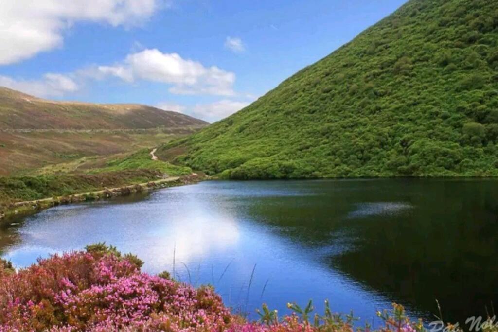 Kozy Kabin Waterford Exteriér fotografie
