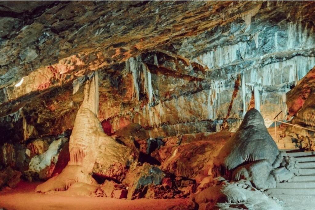 Kozy Kabin Waterford Exteriér fotografie