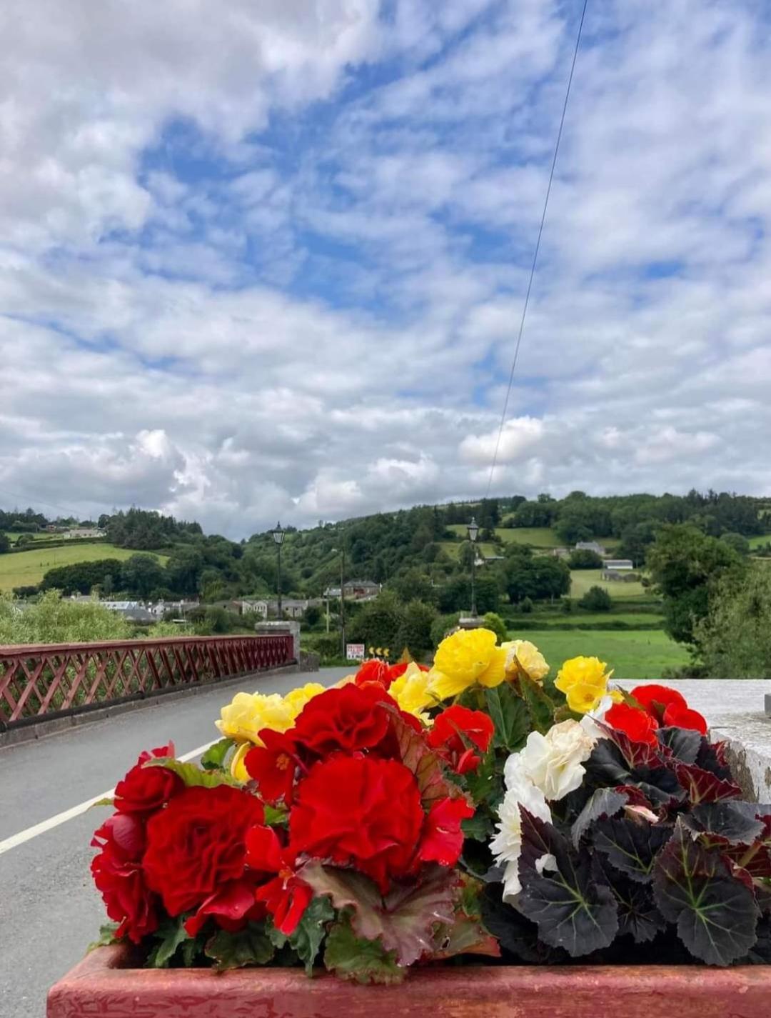 Kozy Kabin Waterford Exteriér fotografie