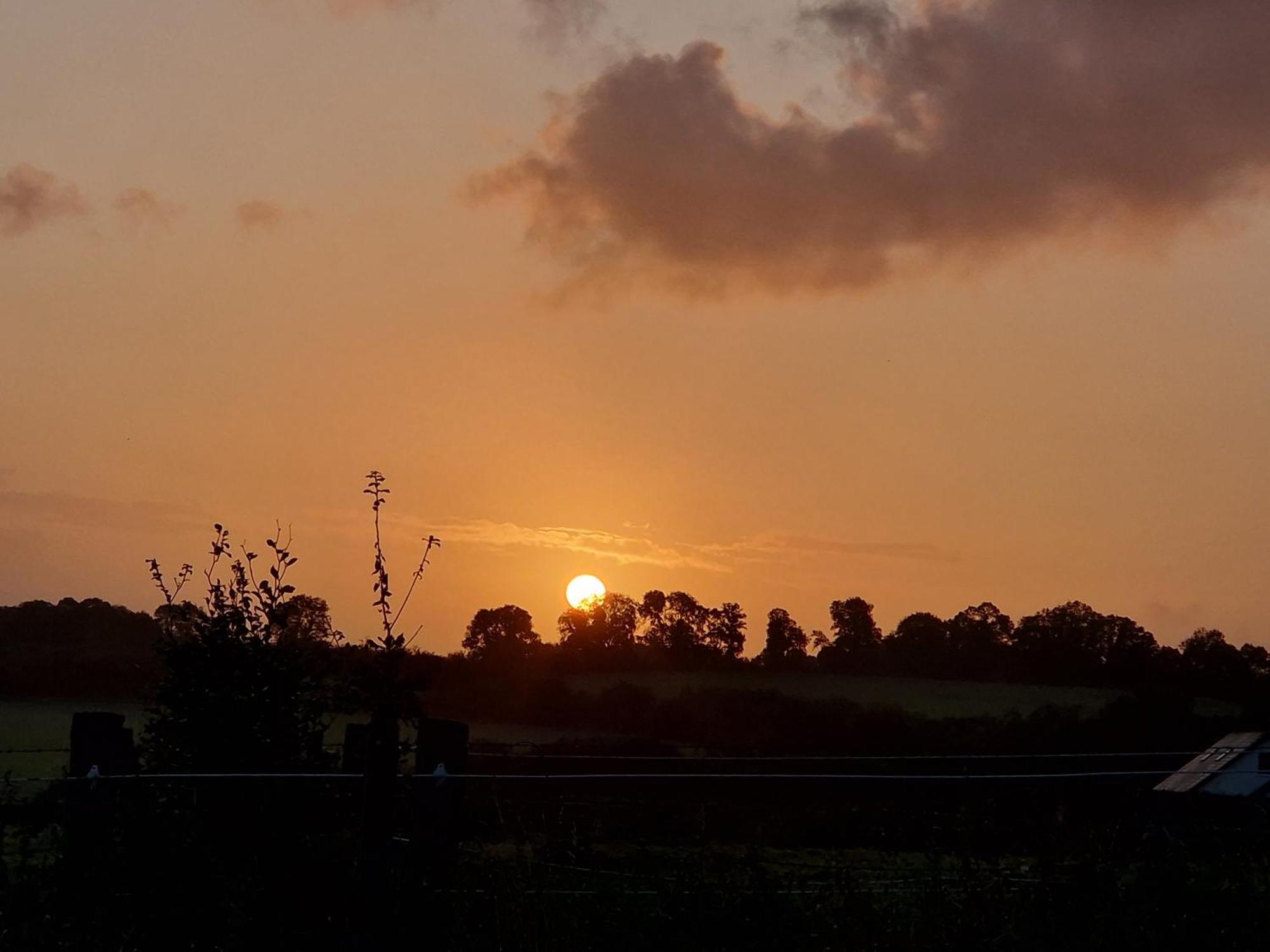 Kozy Kabin Waterford Pokoj fotografie